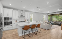 19539 ROSEATE Drive, LUTZ, FL 33558