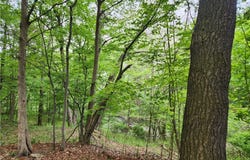 65 Sunset W Circle, Ithaca, NY 14850