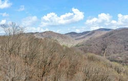 Buckeye Road, Elk Park, NC 28622