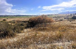 Mustang Dr, Colorado City, CO 81019