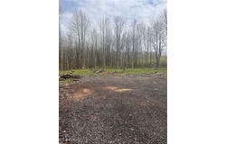 Clay Street, Thompson, OH 44086