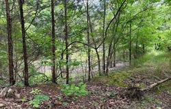 1027 BLUE WING ROAD, Mountain Home, AR 72653
