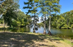60 River Ridge Rd, Many, La, LA 71449