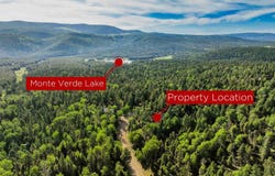 60 Taos Dr, Angel Fire, NM 87710