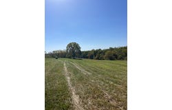 1430 Warsaw Road, Dry Ridge, KY 41035