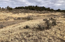 Tbd El Vado Lakes U 4 Tr 11, Tierra Amarilla, NM 87575