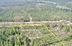 Lot 98 Turning Leaf Rd, North Pace, FL 32571