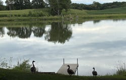 10118 N Trescher Road, Milton, WI 53563
