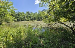 000 Harlow Road, Mountain View, MO 65548