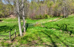 Tba Black Locust Road, Jonesville, VA 24263