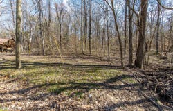 000 Salt Lane, Savannah, TN 38372