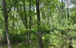 141 Waterview Drive, Hawley, PA 18435
