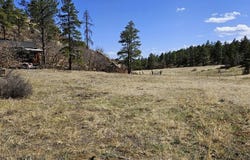 337 Rancho La Garita, Weston, CO 81091