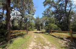 24605 and 24645 NE 177TH Terrace, FORT MC COY, FL 32134