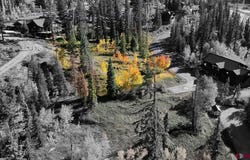 474 Engineer Drive, Durango, CO 81301