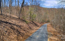 99999 Elm Crest Place, Hendersonville, NC 28792