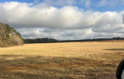 Miller County 529 (Lot 10), Fouke, AR 71837