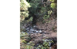 Tract B 266 Gallina Canyon Road, Valdez, NM 87580
