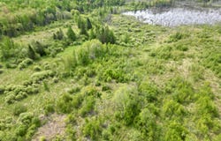 TBD North Rock Road East 20, Rock, MI 49880