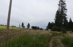 506 Devils Elbow Drive, Lenore, ID 83541