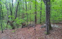 30 SR 30, Pikeville, TN 37367