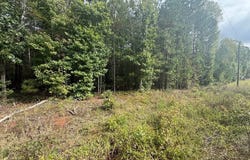 Westpoint Stevens Rd lot: 10, Drakes Branch, VA 23937