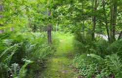 15 Simms Road, Chateaugay, NY 12920