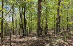 0 County Road 418, Piedmont, MO 63957