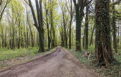 480 GODFREY Road, Lake City Boro, PA 16423