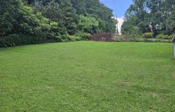 1564 Locust Grove Rd Rd, New Tazewell, TN 37825