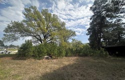 18304 Timber Oaks, Lindale, TX 75771