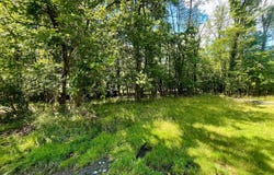 VALLEY FORGE ROAD, RANDALLSTOWN, MD 21133