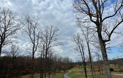 246 Locust Lane, Edinburg, VA 22824