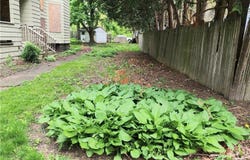 356 W 1st Street, Elmira City, NY 14901