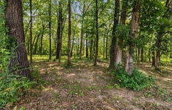 92 Garrison, Greenbrier, AR 72058
