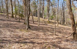 367 Alta Circle unit: 094-R, Hendersonville, NC 28739