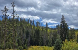 100 PRESERVE Way, Winter Park, CO 80482