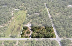 9597 N Alder Avenue, Crystal River, FL 34428