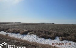 Nelson Avenue, Belmond, IA 50421