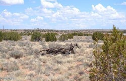 Lot 020g E 24th N Street --, Snowflake, AZ 85937