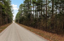 123 Fossil Cove Road, Cape Fair, MO 65624