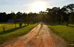 7252 S County Rd 49, Slocomb, AL 36375