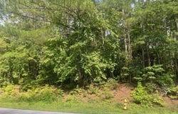 0 Young, Franklin, GA 30217