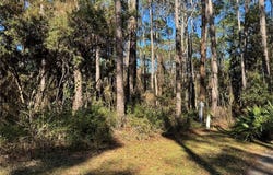 1106 Narbonne Place, Dauphin Island, AL 36528