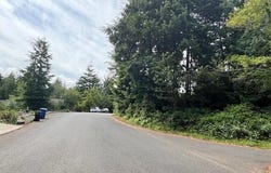 Tl 300 SW Dolores Drive, Waldport, OR 97394