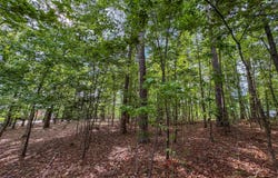 Willow Lane lot: 1, Alexander City, AL 35010
