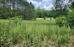 6389 S Woods Trail Road, Custer, MI 49405