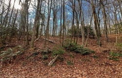 Lot 45 Southern View Trail, Fancy Gap, VA 24328