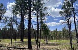 152 Calle Retiro Road, Rociada, NM 87742