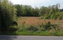 X Springfield Road, Pilot Mountain, NC 27041